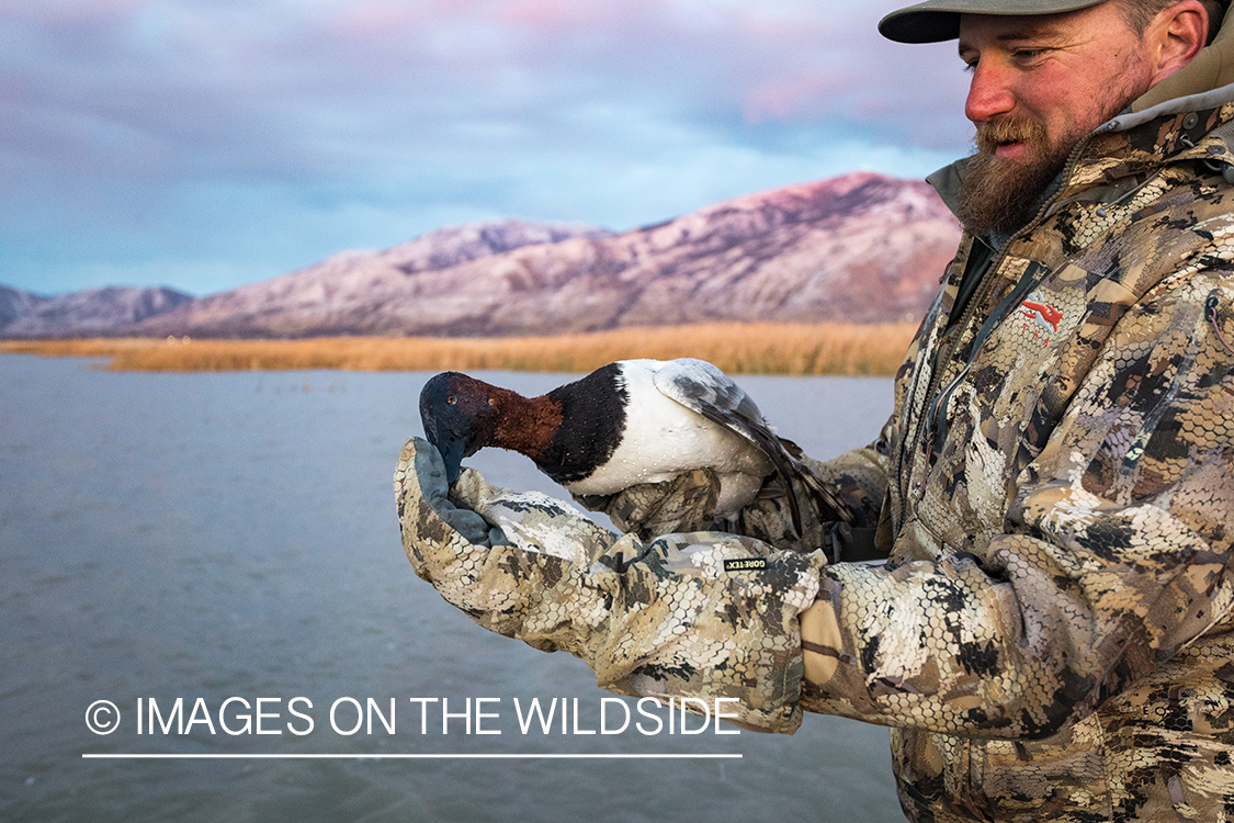 Hunter with bagged Canvasback duck.