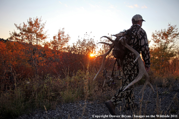 Bow hunter hiking with elk rack. 