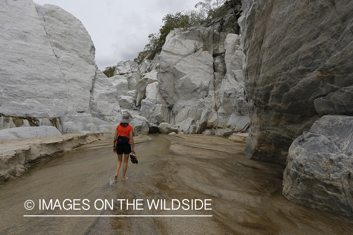 Woman exploring an arroyo in Baja Peninsula, Mexico.