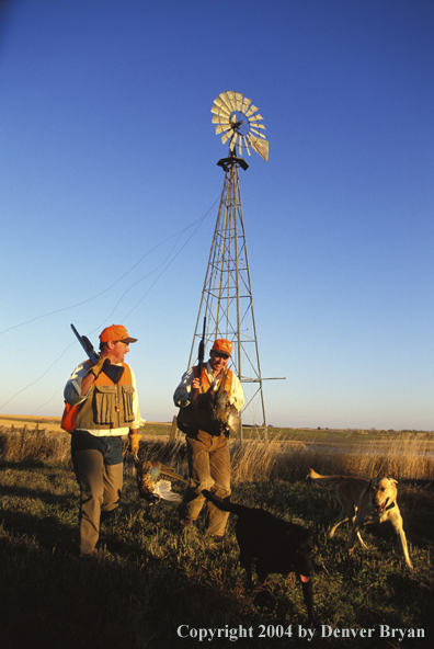 Upland bird hunters with dogs and game.