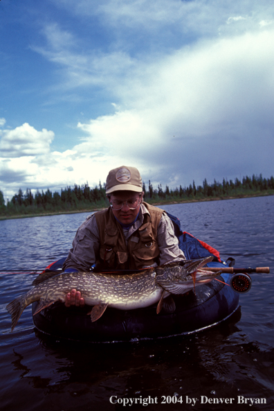 Flyfisherman with Northern Pike