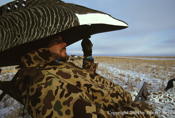 Waterfowl hunter in goose blind.