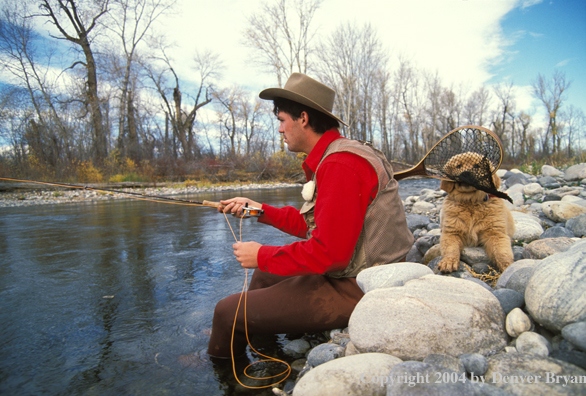 Flyfisherman fishing with Golden retriver puppy pulling on net.