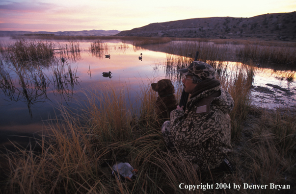 Waterfowl hunter with Golden Retriever. 