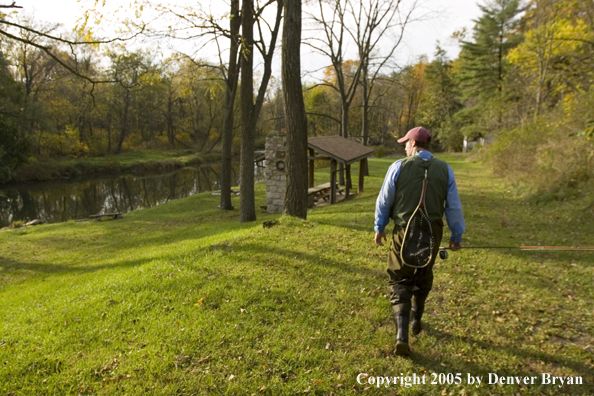 Flyfisherman walks along Pennsylvania spring creek.