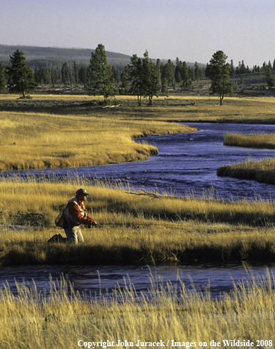 Flyfishing on Nez Perce Creek