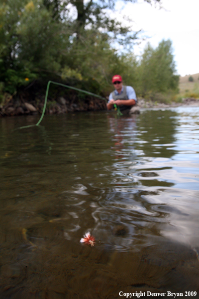 Flyfisherman on Gallatin River