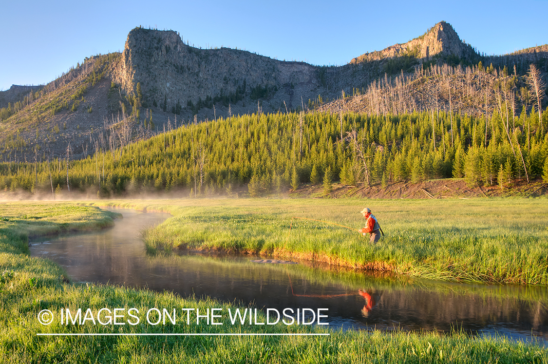 Flyfisherman on Madison River, YNP.