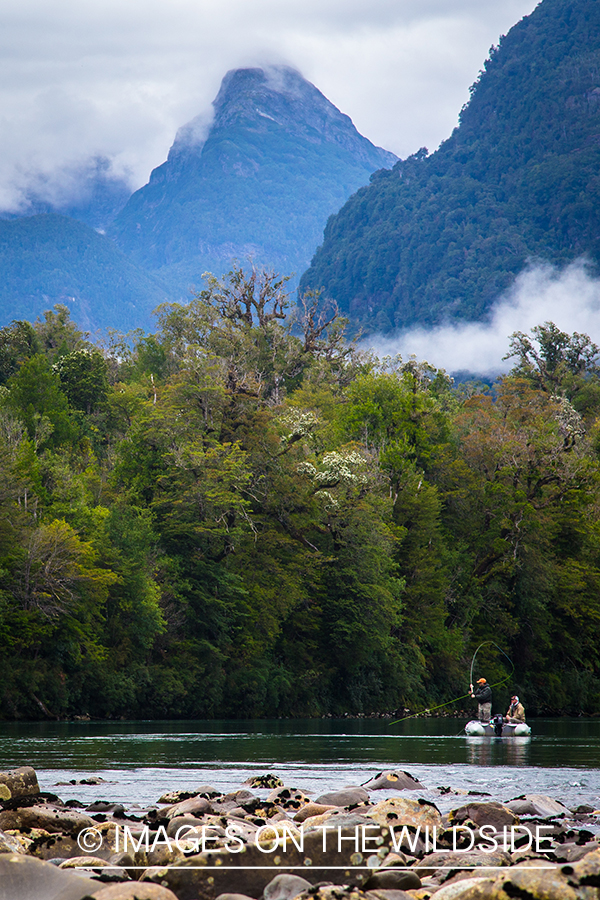 King salmon fishing in Chile.