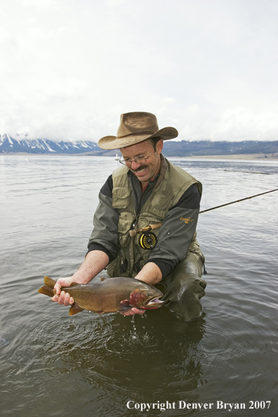 Flyfisherman with large cutthroat trout.