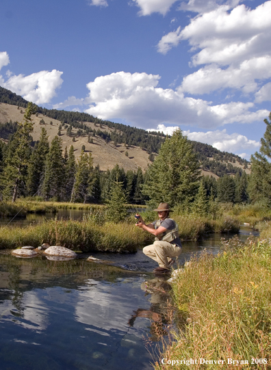 Flyfisherman with Rainbow Trout on Gallatin River, Montana