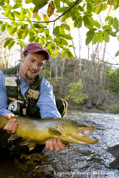 Close-up of nice brown trout.