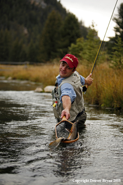 Flyfisherman Landing Cutthroat Trout