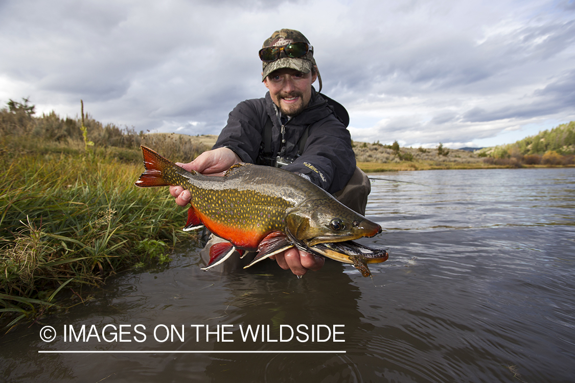 Flyfisherman with a brook trout.