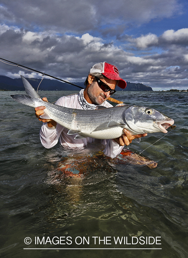 Saltwater flyfisherman with 13 lb bonefish, in Hawaii. (HDR)