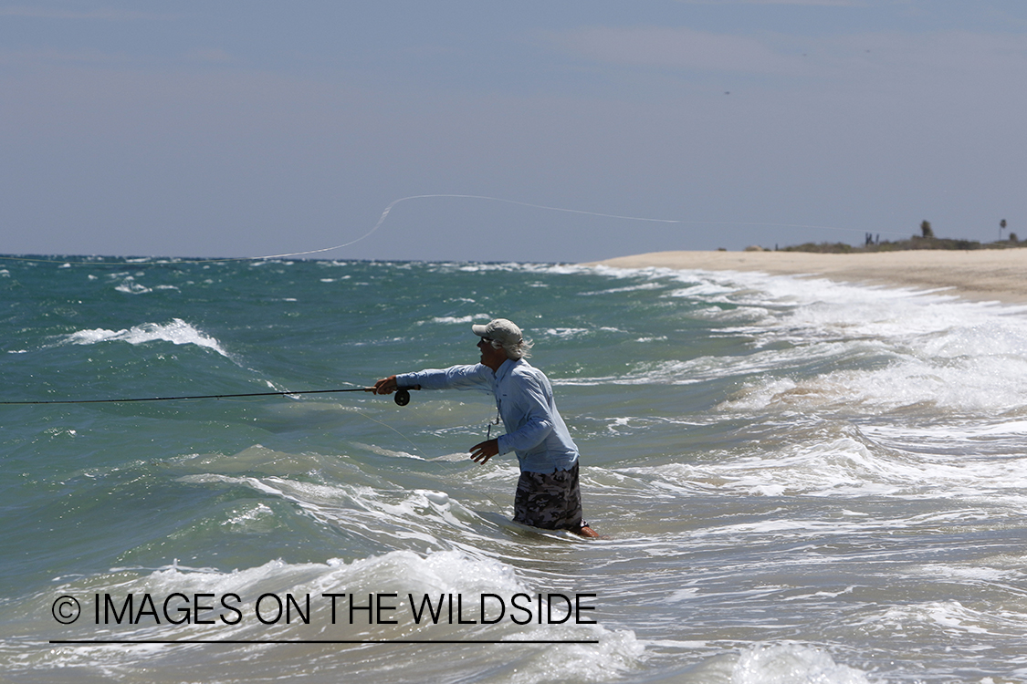 Flyfisherman fishing for roosterfish on beach.