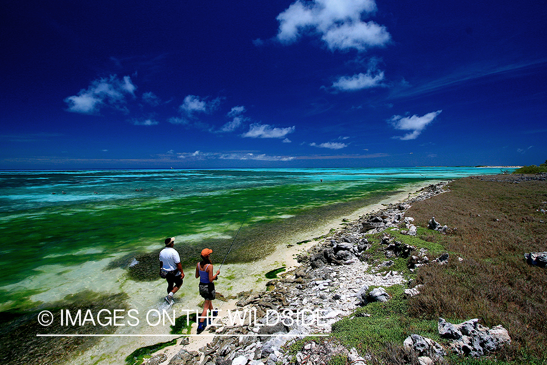 Fly Fisherwoman fishing saltwater.