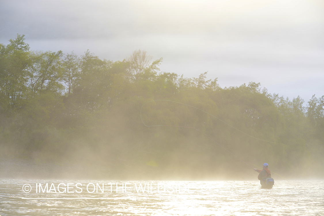 Flyfisherman casting on river in Chile.