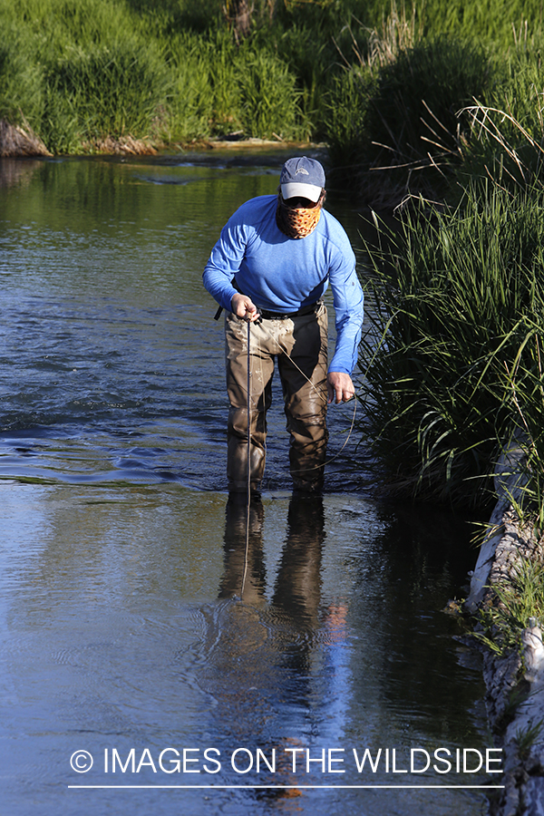 Flyfisherman with brown trout buff.