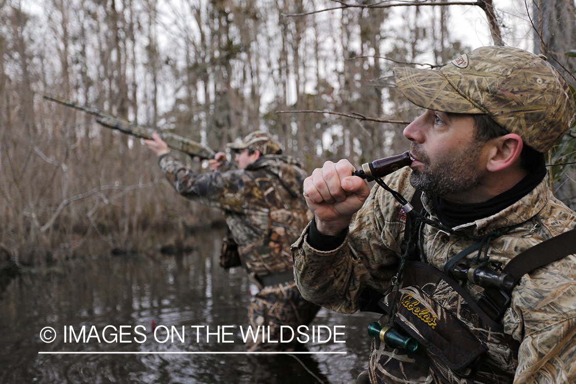 Waterfowl hunters calling ducks in southern wetlands. 