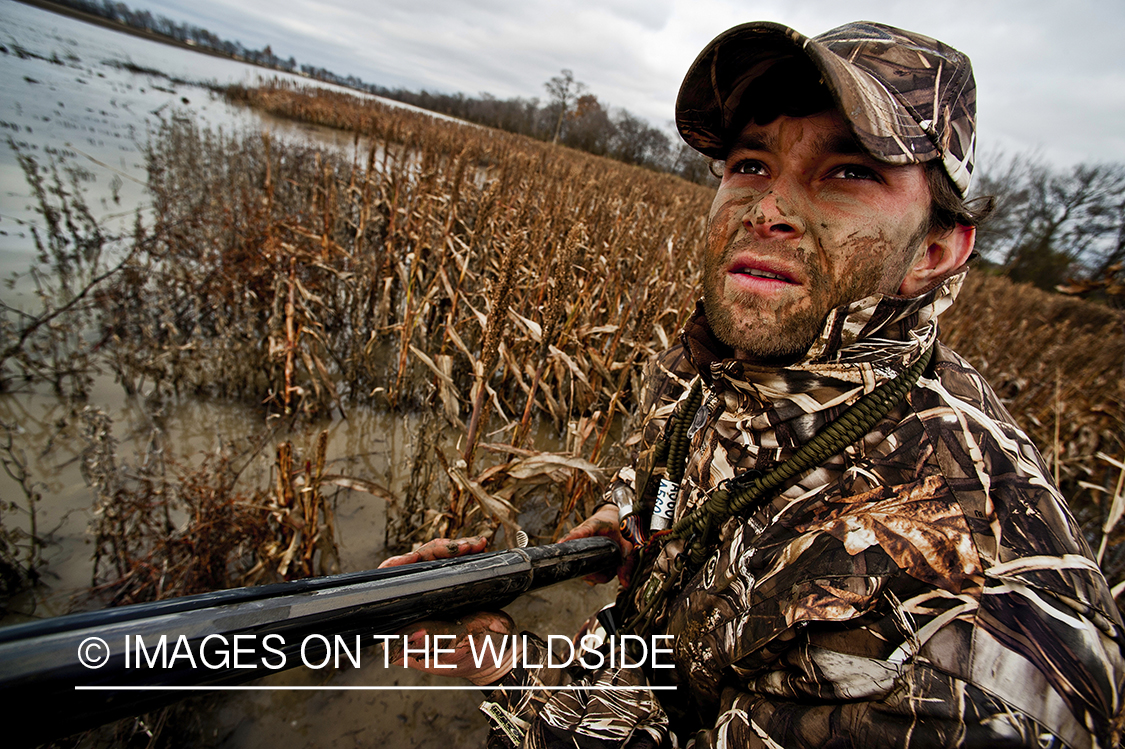 Waterfowl hunter camouflaged in wetlands.