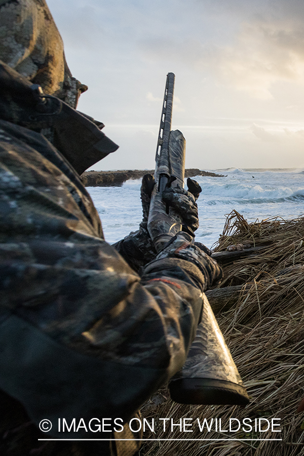 King Eider and Long-tailed duck hunting in Alaska, hunter looking for ducks.