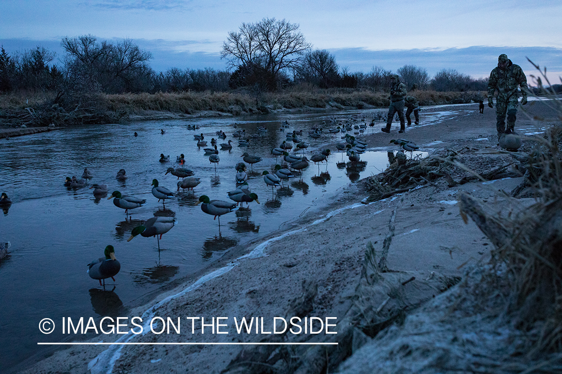 Waterfowl hunting