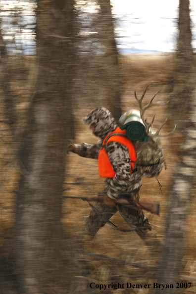 Mule deer hunter in field.