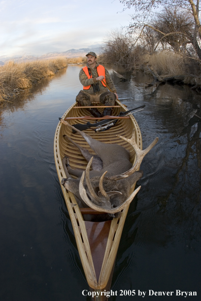 Big game hunter paddling canoe with bagged white-tail deer in bow