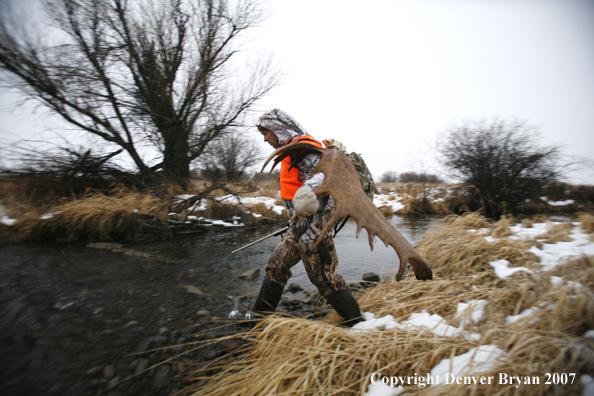 Moose hunter in field