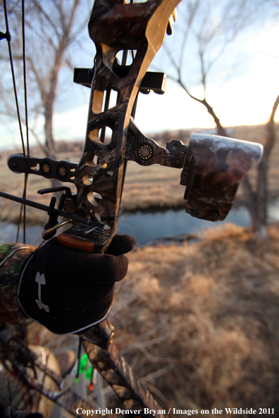 Close-up of bow and broadhead-tipped arrow. 