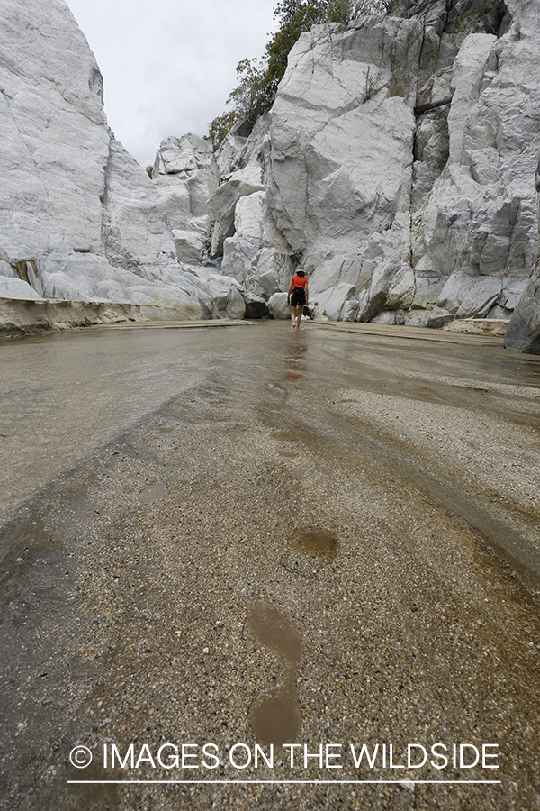 Woman exploring an arroyo in Baja Peninsula, Mexico.