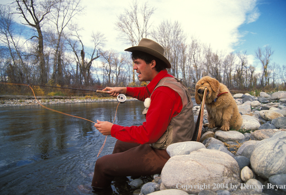 Flyfisherman casting with Golden retriver puppy pulling on net.