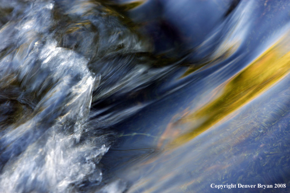 Close-up of running water