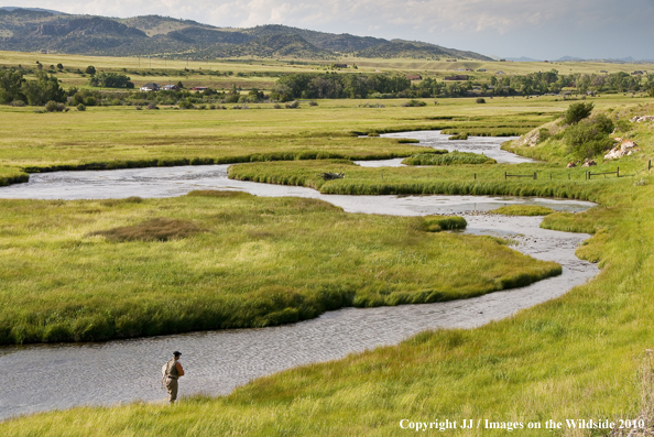 O'Dell Creek, Montana. 