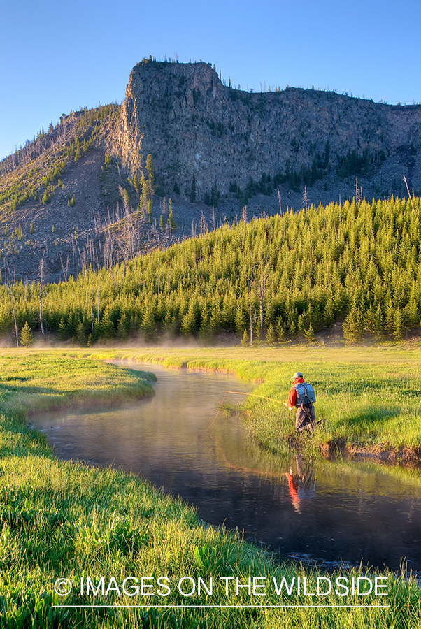 Flyfisherman on Madison River, YNP.