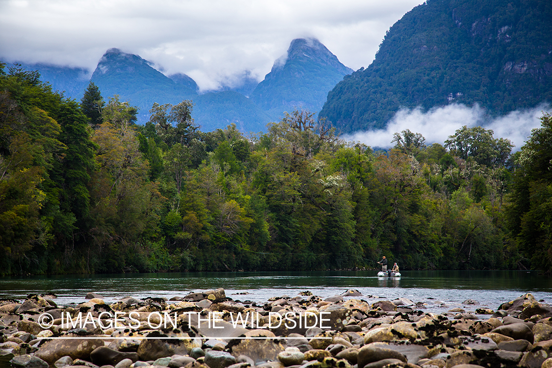 King salmon fishing in Chile.