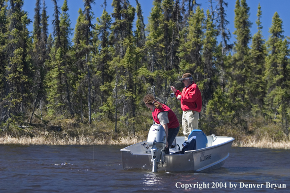 Flyfisherman, with guide, playing fish from boat.