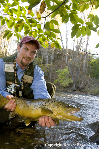 Close-up of nice brown trout.