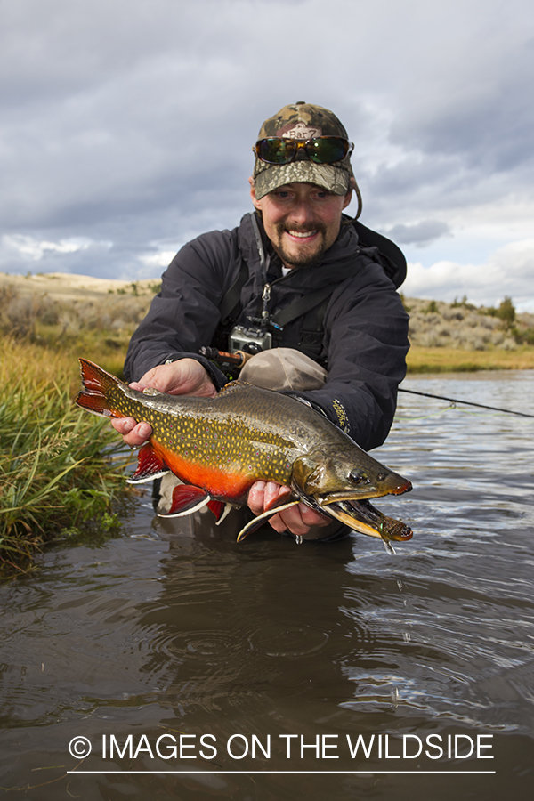 Flyfisherman with a brook trout.