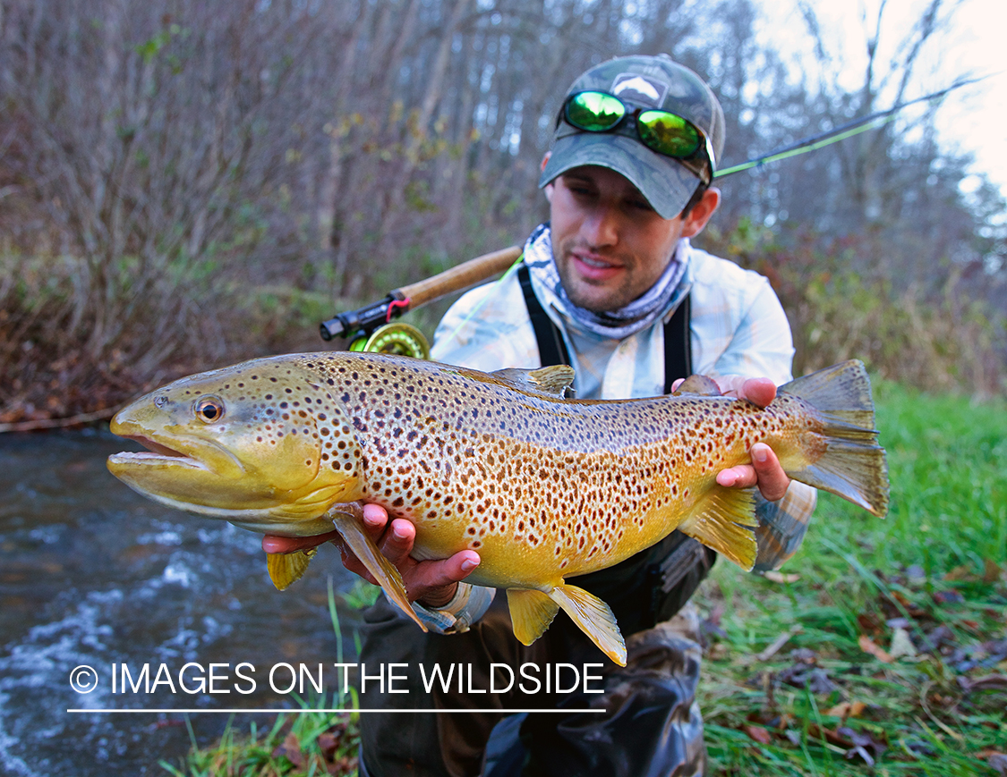 Flyfisherman with brown trout.