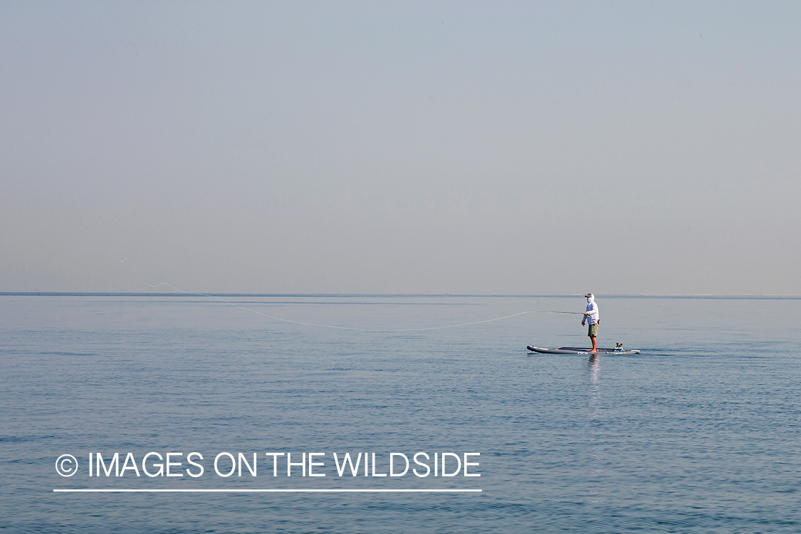 Flyfishing for queenfish off the coast of Dubai, UAE.