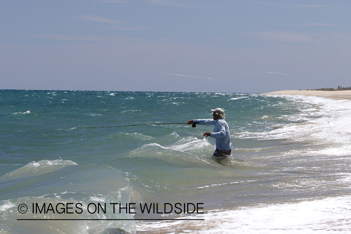 Flyfisherman fishing for roosterfish on beach.