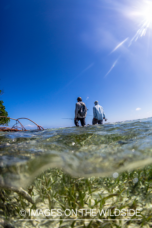 Flyfishermen wading in flats in Belize.