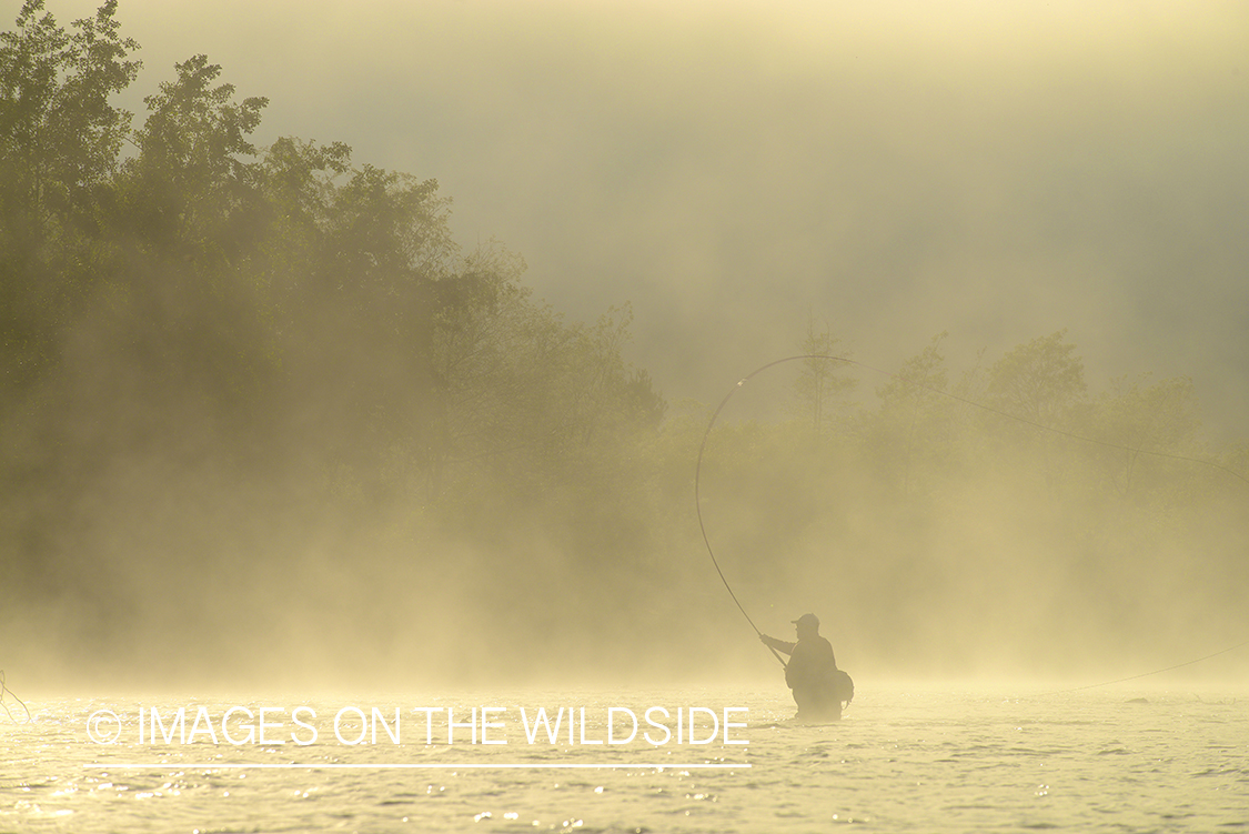 Flyfisherman casting on river in Chile.