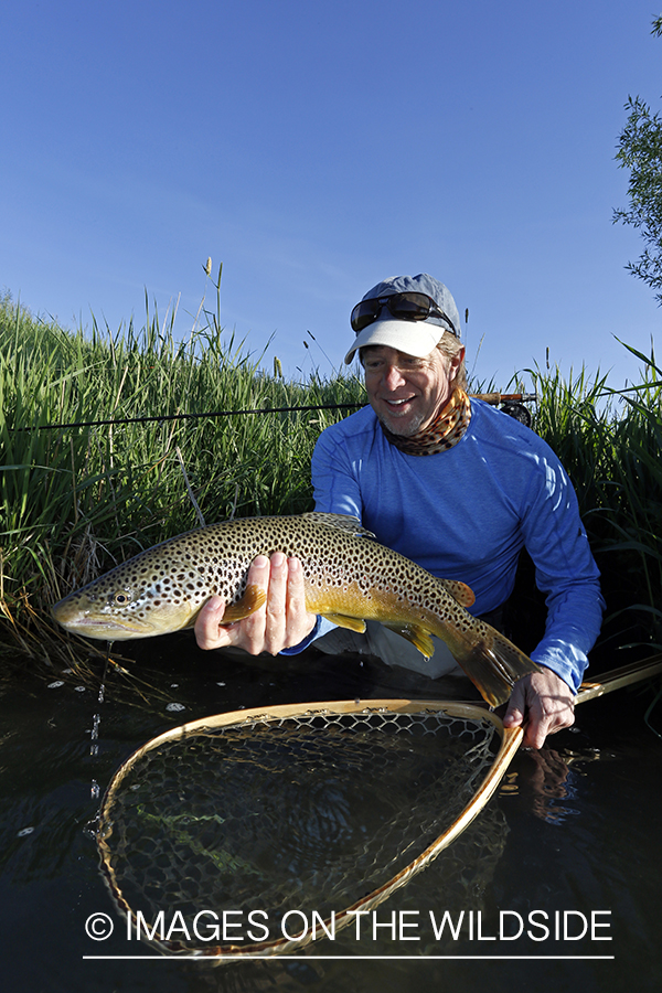 Flyfisherman with brown trout.