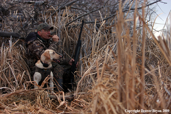 Waterfowl Hunter with Lab