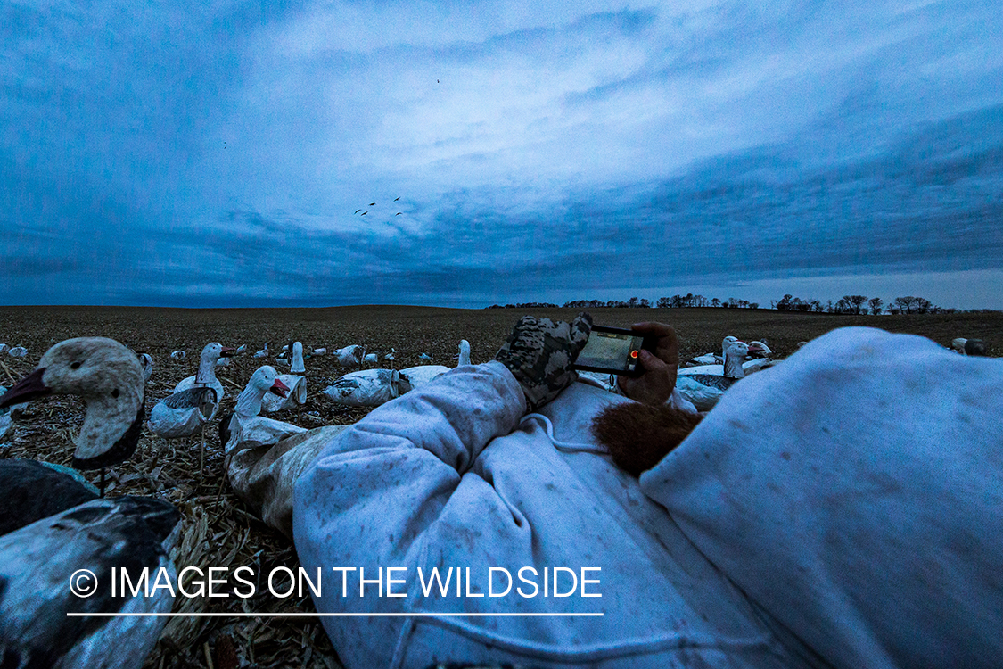 Hunters in field with decoys. 