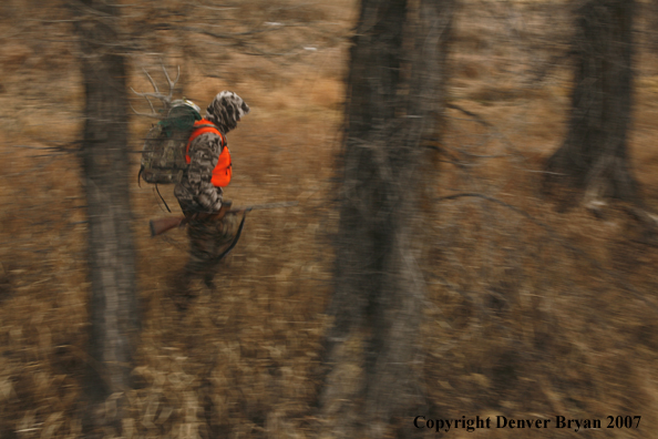 Mule deer hunter in field.