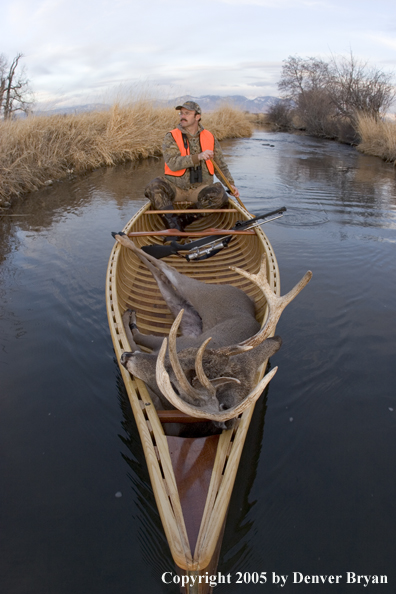 Big game hunter paddling canoe with bagged white-tail deer in bow